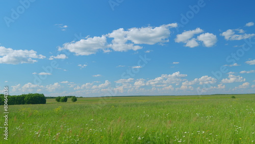Foto Meadow with forest and clouds fly through sky