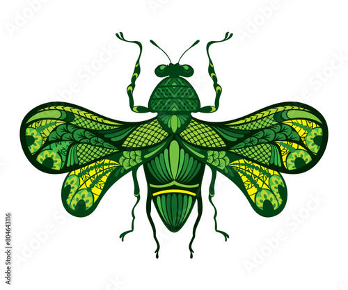 Fantazy hand drawing beetle. Artistic Bug. Entomological vector illustration