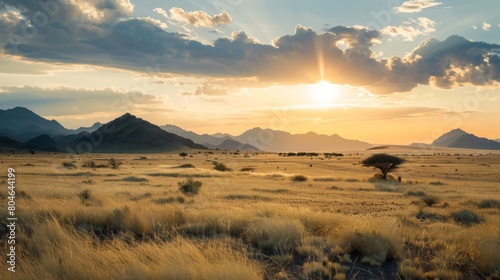Golden sunset over serene desert landscape
