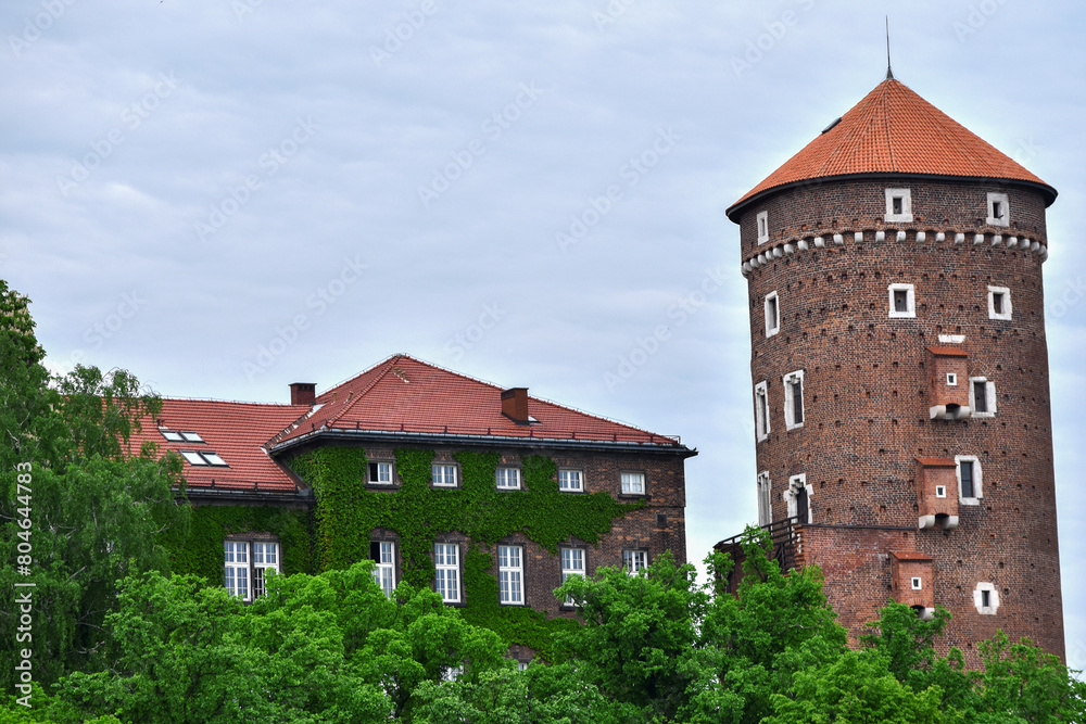 A building made of old red brick with lush green ivy climbing over it on the old Zamek Krolewski na Wawelu castle in the center of Krakow