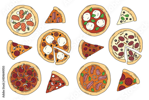 big color vector set of hand drawn pizza