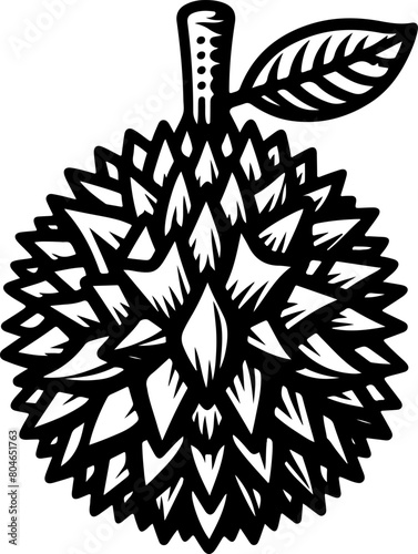 Durian fruit black outline illustration. Coloring book.