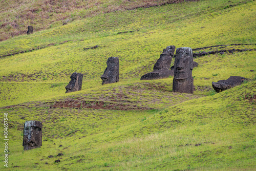 moais in the quarry of Rano Raraku, in Rapa Nui, Easter Island photo