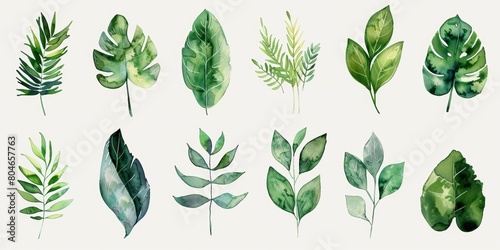 Watercolor Wedding Frame Elements with Exotic Plants Generative AI