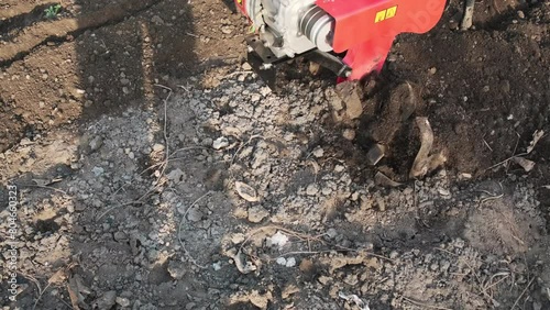 Wallpaper Mural a tillerblock plows the land in the garden. A tillerblock for plowing the land, cultivating the soil in the garden and in the garden. Torontodigital.ca