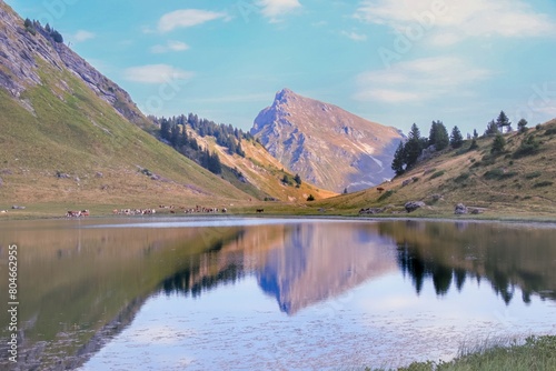 Lac de montagne dans les Alpes en France