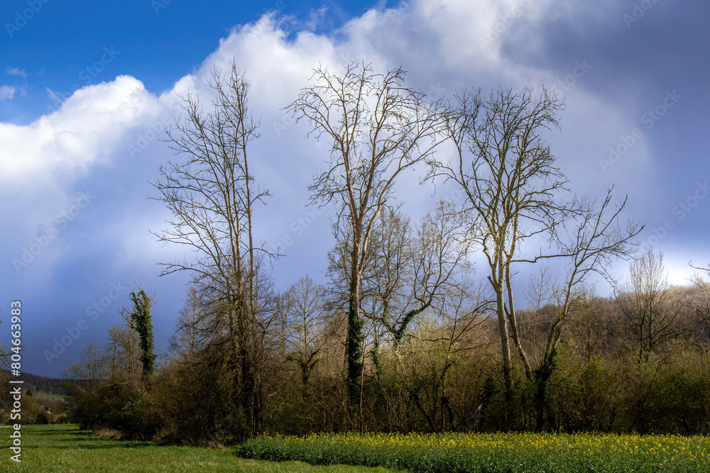 Obraz premium Paysage de la campagne française au printemps