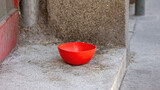 Plastic Red Water Bowl at Pavement Drink for Pets