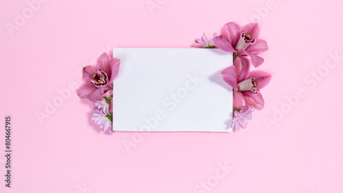 White rectangular background is decorated natural orchids and chrysanthemums flowers buds. Pink background.