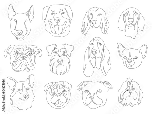 Set of one continuous line drawing dog breed portrait icons. Vector Images of schnauzer, dachshund, bulldog, beagle, pug, corgi, bull terrier. Single line minimal style cute puppy black linear sketch