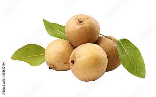 Healthy Tinda Squash Isolated On Transparent Background PNG.