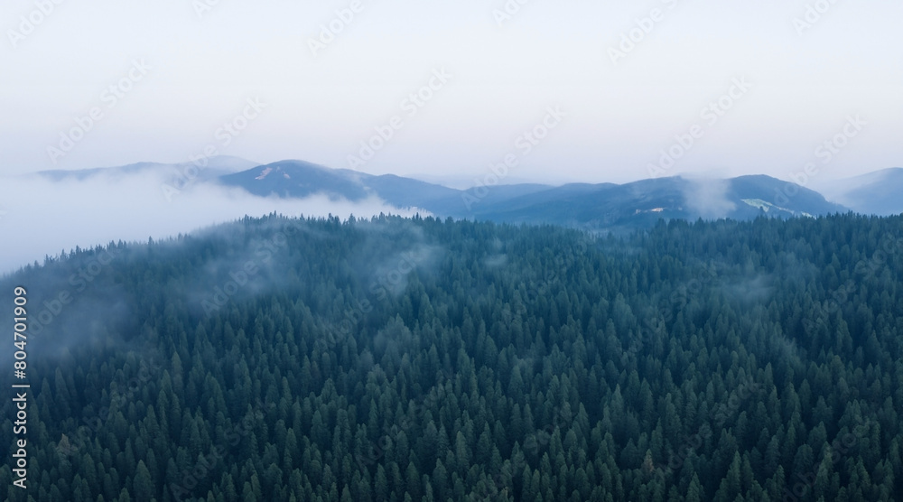 Blue Misty Mountain Landscape Shot from Above with Fog, Fir Trees, Pine Trees and Moody Sky
