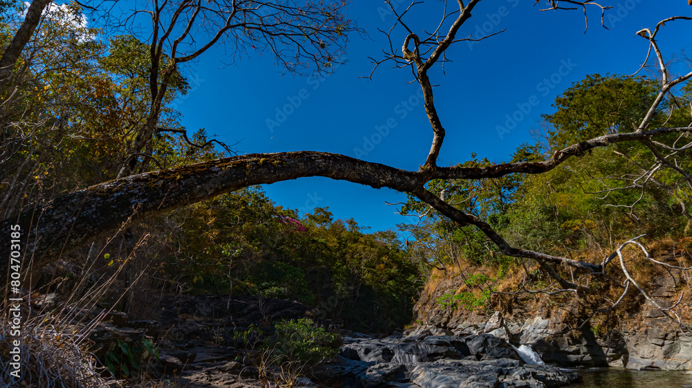 Natureza Cachoeiras Árvores Chapada dos Veadeiros Goiás Brasil Paisagem Beleza Cênica Aventura Trilhas Parque Nacional Conservação Biodiversidade Rios Riachos Flora Brasil Maravilhas Naturais Explorar Natureza Cachoeiras Árvores Chapada dos Veadeiros Goiás Brasil Paisagem Beleza Cênica Aventura Trilhas Parque Nacional Conservação Biodiversidade Rios Riachos Flora Brasil Maravilhas Naturais Explorar