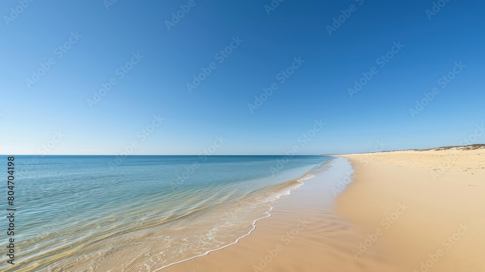 A serene view of a quiet sandy beach meeting the calm blue waters of the ocean under a clear sky