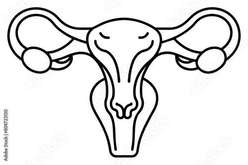 reproductive system line art silhouette illustration