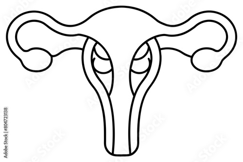 reproductive system line art silhouette illustration