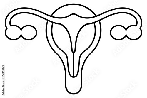 reproductive system line art silhouette illustration