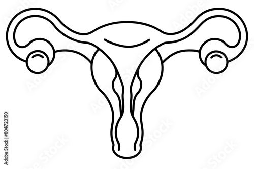 reproductive system line art silhouette illustration