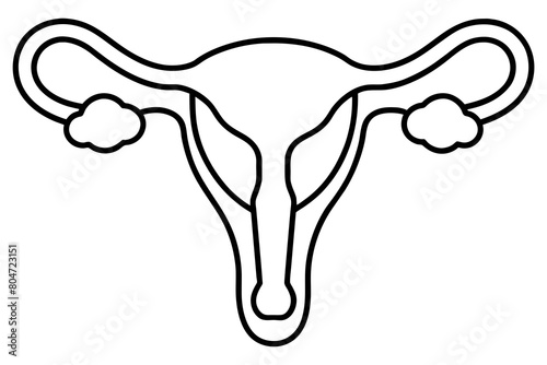 reproductive system line art silhouette illustration