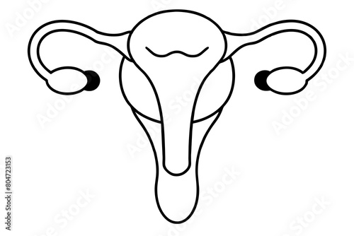 reproductive system line art silhouette illustration