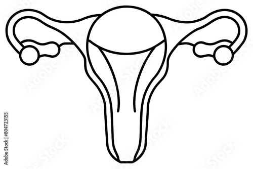 reproductive system line art silhouette illustration