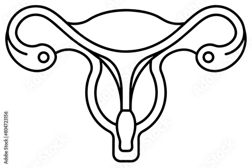 reproductive system line art silhouette illustration