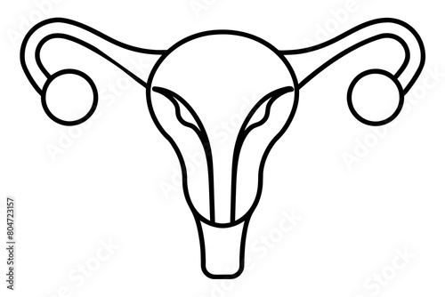 reproductive system line art silhouette illustration