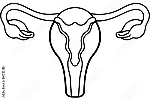 reproductive system line art silhouette illustration