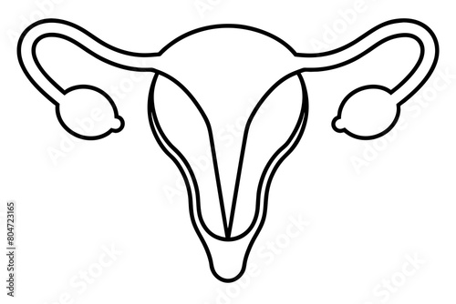 reproductive system line art silhouette illustration