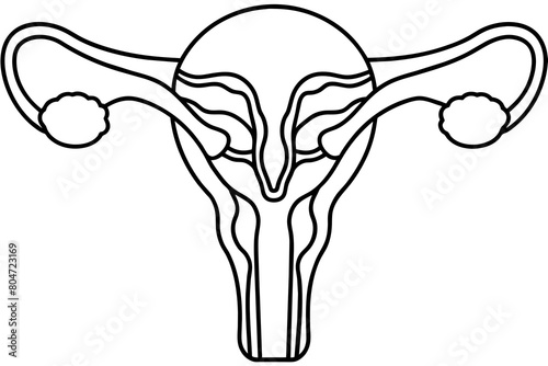 reproductive system line art silhouette illustration