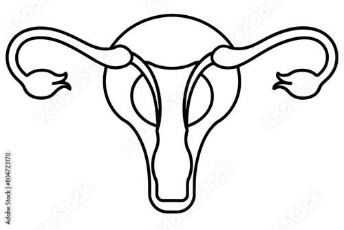 reproductive system line art silhouette illustration