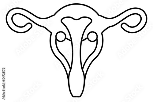 reproductive system line art silhouette illustration