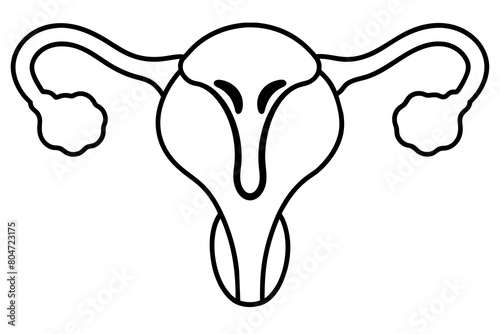 reproductive system line art silhouette illustration