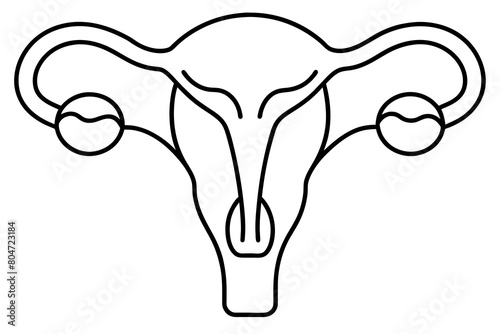 reproductive system line art silhouette illustration