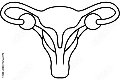 reproductive system line art silhouette illustration