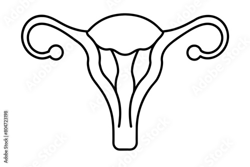 reproductive system line art silhouette illustration