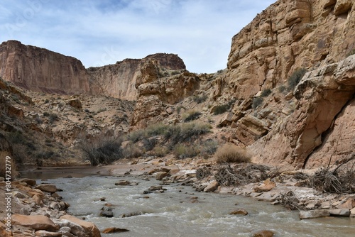 A river runs through a canyon. 