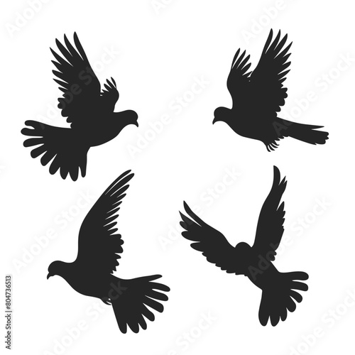 A flock of birds in flight