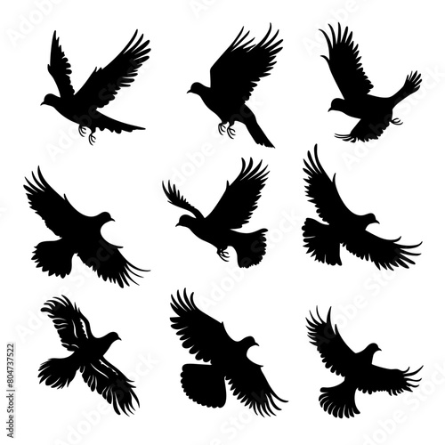 Silhouette of birds flying together