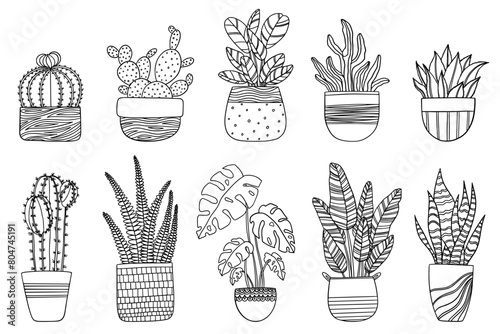 Hand drawn set of house plants in pots, Trendy outline doodle drawing of monstera, succulents, banana palm, cactus. Design element isolated