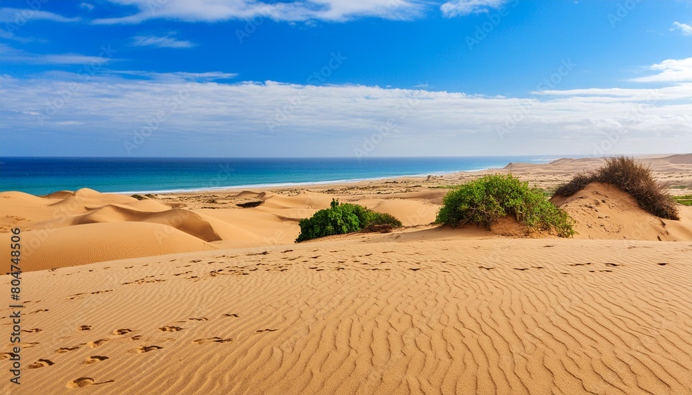 sand dunes in a desert right by the sea
