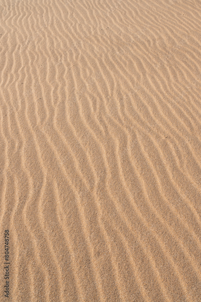 Smooth sand dunes background texture Smooth sand dunes background texture