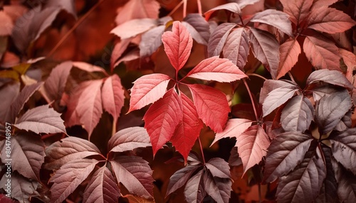 wine red autumn leaves texture fall nature background ai generative