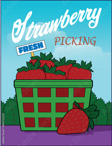 A carton of fresh picked strawberries.