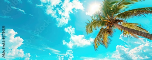 Vibrant image capturing a single  lush coconut palm tree against a clear blue sky with fluffy white clouds on a sunny day