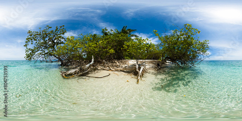 Fototapeta Naklejka Na Ścianę i Meble -  Clear ocean water over white sand beach in Mantigue Island. Blue sky and clouds. Camiguin, Philippines. VR 360.
