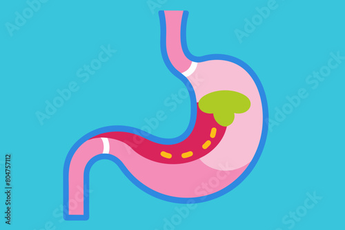 esophagus vector illustration