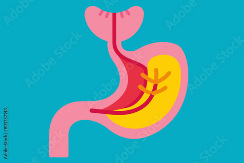 esophagus vector illustration