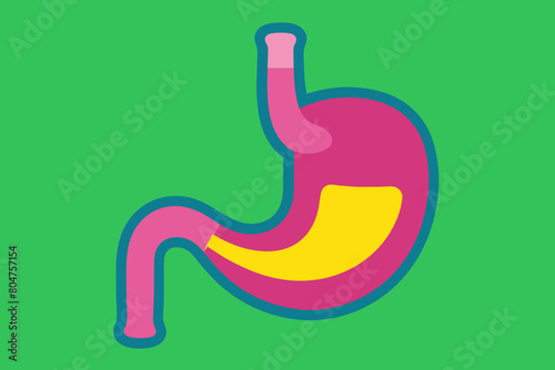 esophagus vector illustration