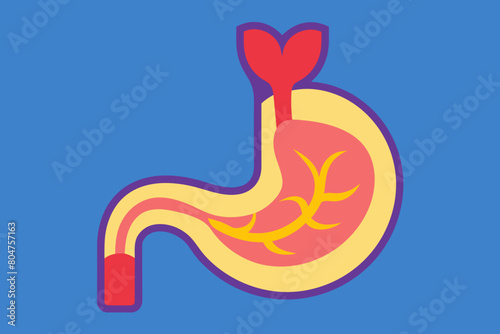 esophagus vector illustration